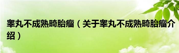  睾丸不成熟畸胎瘤（关于睾丸不成熟畸胎瘤介绍）