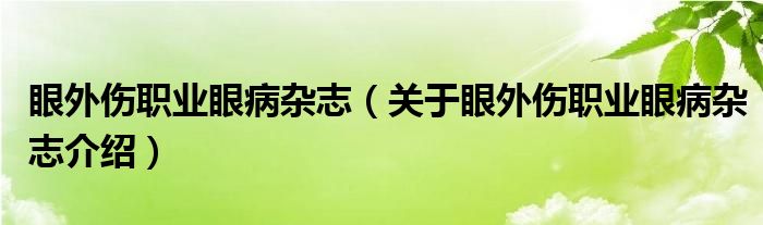  眼外伤职业眼病杂志（关于眼外伤职业眼病杂志介绍）