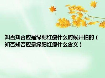 知否知否应是绿肥红瘦什么时候开拍的（知否知否应是绿肥红瘦什么含义）