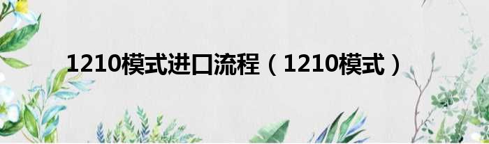 1210模式进口流程（1210模式）