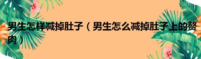 男生怎样减掉肚子（男生怎么减掉肚子上的赘肉）