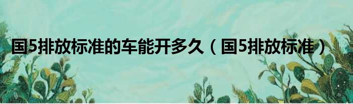 国5排放标准的车能开多久（国5排放标准）