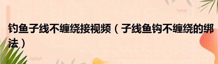 钓鱼子线不缠绕接视频（子线鱼钩不缠绕的绑法）