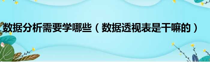 数据分析需要学哪些（数据透视表是干嘛的）