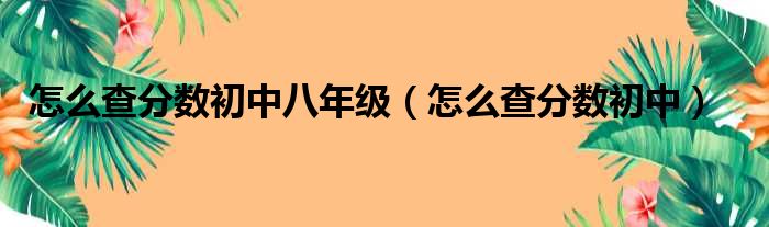 怎么查分数初中八年级（怎么查分数初中）