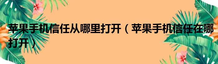 苹果手机信任从哪里打开（苹果手机信任在哪打开）