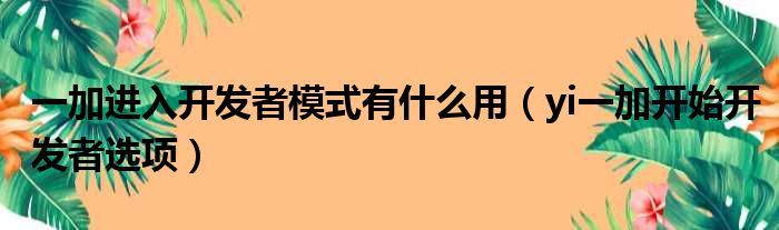 一加进入开发者模式有什么用（yi一加开始开发者选项）