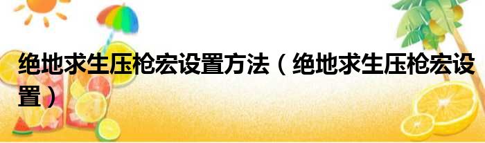 绝地求生压枪宏设置方法（绝地求生压枪宏设置）