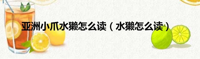 亚洲小爪水獭怎么读（水獭怎么读）