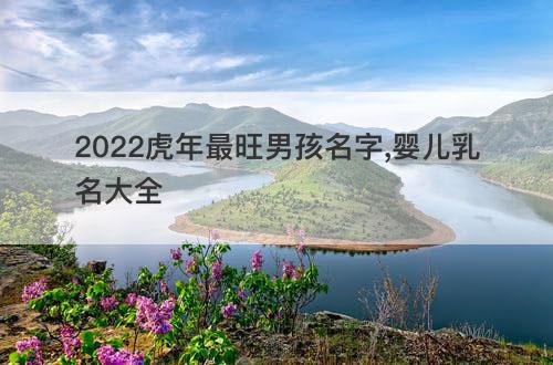 2022虎年最旺男孩名字,婴儿乳名大全