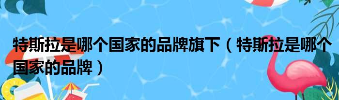 特斯拉是哪个国家的品牌旗下（特斯拉是哪个国家的品牌）