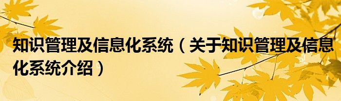  知识管理及信息化系统（关于知识管理及信息化系统介绍）