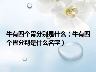 牛有四个胃分别是什么（牛有四个胃分别是什么名字）