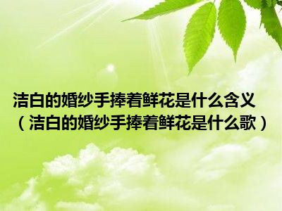 洁白的婚纱手捧着鲜花是什么含义（洁白的婚纱手捧着鲜花是什么歌）