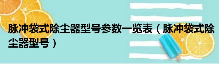 脉冲袋式除尘器型号参数一览表（脉冲袋式除尘器型号）