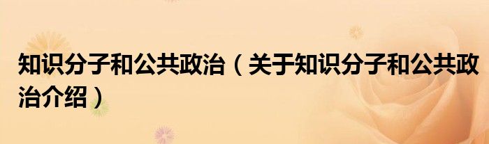  知识分子和公共政治（关于知识分子和公共政治介绍）