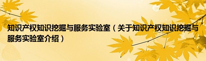  知识产权知识挖掘与服务实验室（关于知识产权知识挖掘与服务实验室介绍）