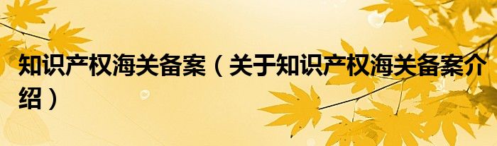  知识产权海关备案（关于知识产权海关备案介绍）