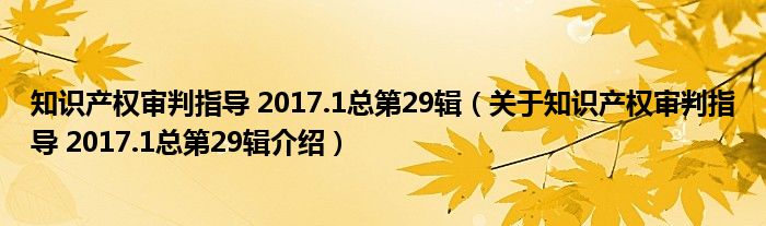  知识产权审判指导 2017.1总第29辑（关于知识产权审判指导 2017.1总第29辑介绍）