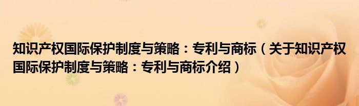  知识产权国际保护制度与策略：专利与商标（关于知识产权国际保护制度与策略：专利与商标介绍）