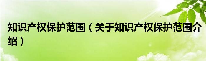  知识产权保护范围（关于知识产权保护范围介绍）