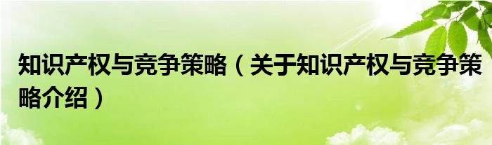  知识产权与竞争策略（关于知识产权与竞争策略介绍）