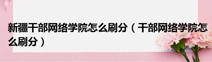 新疆干部网络学院怎么刷分（干部网络学院怎么刷分）