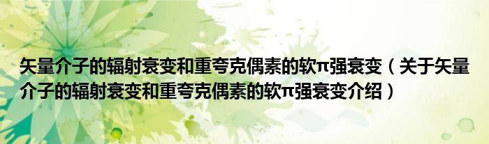  矢量介子的辐射衰变和重夸克偶素的软π强衰变（关于矢量介子的辐射衰变和重夸克偶素的软π强衰变介绍）