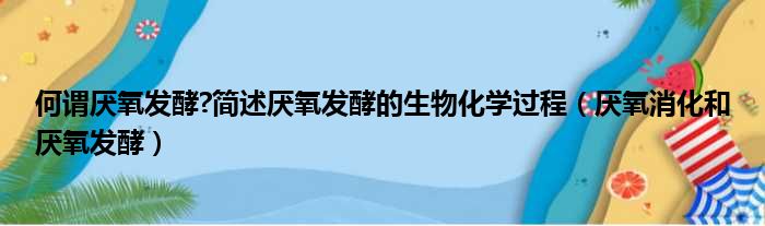 何谓厌氧发酵 简述厌氧发酵的生物化学过程（厌氧消化和厌氧发酵）