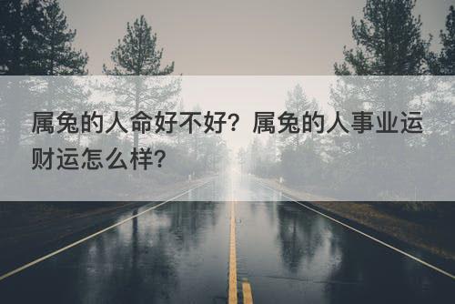 属兔的人命好不好？属兔的人事业运财运怎么样？