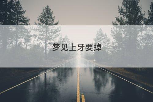 梦见上牙要掉