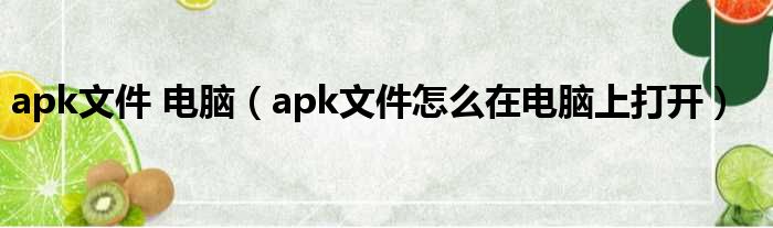 apk文件 电脑（apk文件怎么在电脑上打开）