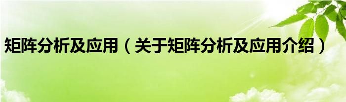  矩阵分析及应用（关于矩阵分析及应用介绍）