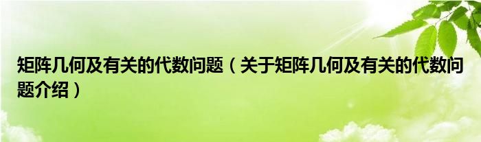  矩阵几何及有关的代数问题（关于矩阵几何及有关的代数问题介绍）