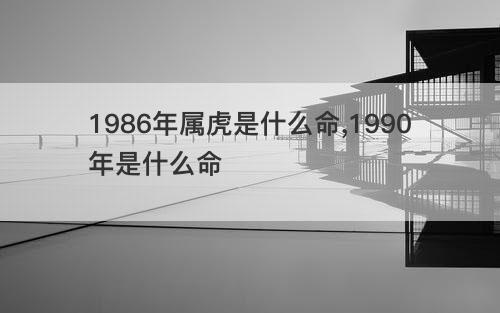 1986年属虎是什么命,1990年是什么命