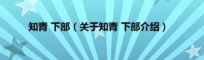  知青 下部（关于知青 下部介绍）