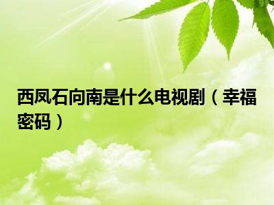 西凤石向南是什么电视剧（幸福密码）