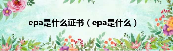 epa是什么证书（epa是什么）