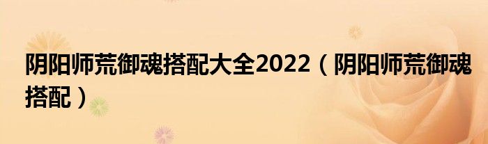 阴阳师荒御魂搭配大全2022（阴阳师荒御魂搭配）