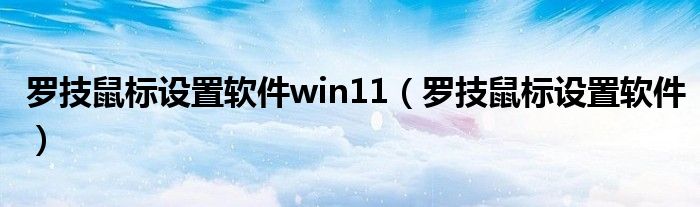 罗技鼠标设置软件win11（罗技鼠标设置软件）