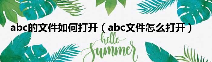 abc的文件如何打开（abc文件怎么打开）