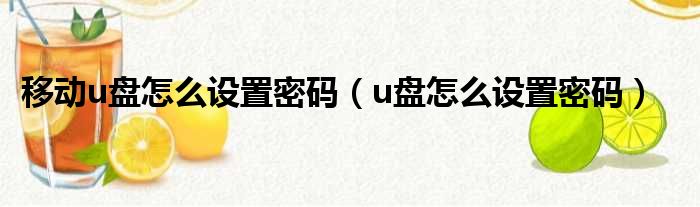 移动u盘怎么设置密码（u盘怎么设置密码）