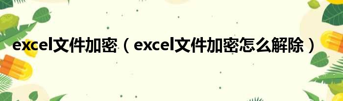 excel文件加密（excel文件加密怎么解除）