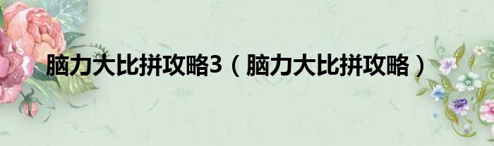 脑力大比拼攻略3（脑力大比拼攻略）