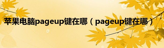 苹果电脑pageup键在哪（pageup键在哪）