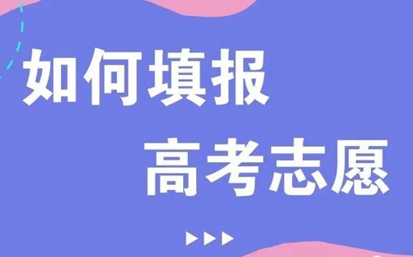 五百分能上一本大学吗（500分左右能上什么好的大学）(图2)