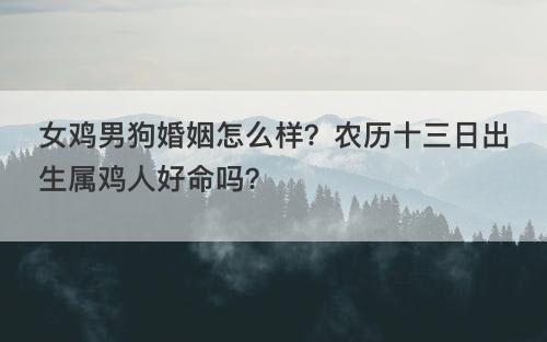 女鸡男狗婚姻怎么样？农历十三日出生属鸡人好命吗？