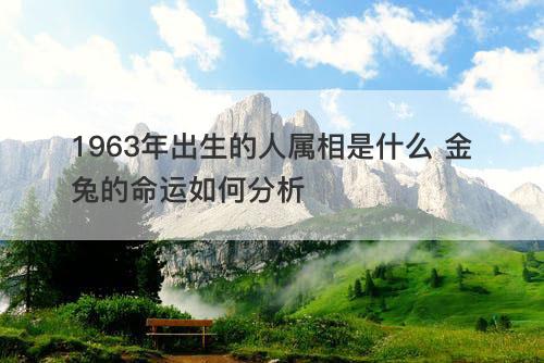 1963年出生的人属相是什么 金兔的命运如何分析