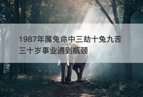 1987年属兔命中三劫十兔九苦 三十岁事业遇到瓶颈