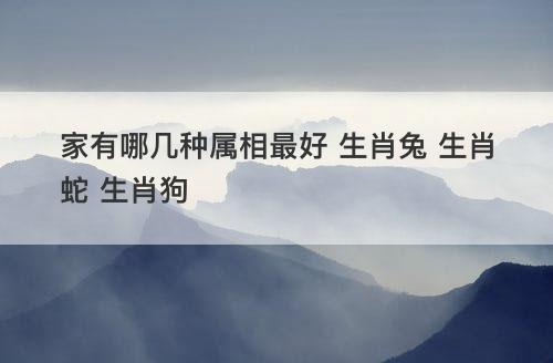 家有哪几种属相最好 生肖兔 生肖蛇 生肖狗